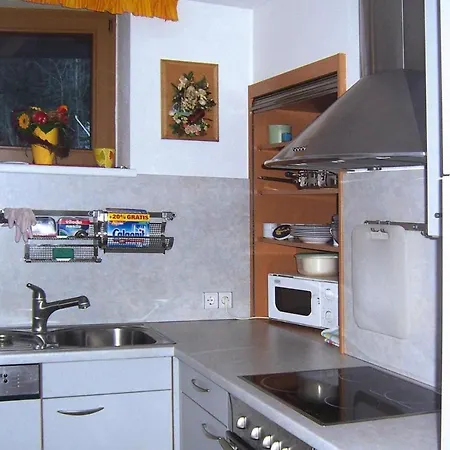 Apartment Spieljochbahn - Otr05503-dya